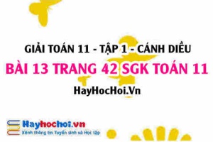 Giải bài 13 trang 42 Toán 11 tập 1 SGK Cánh Diều